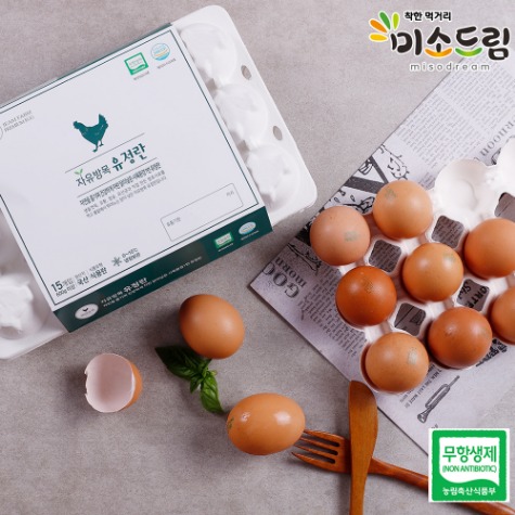 [5월특가] 자연방사 닭이 낳은 무항생제 유정란 30구 계란 달걀